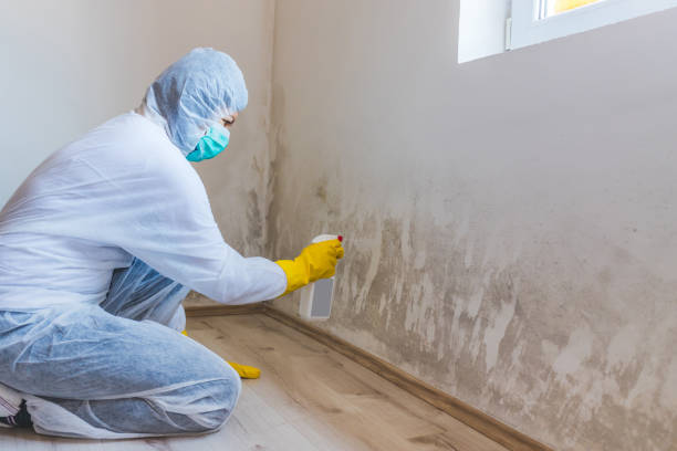Asbestos and Lead Testing During Mold Inspection in Demarest, NJ