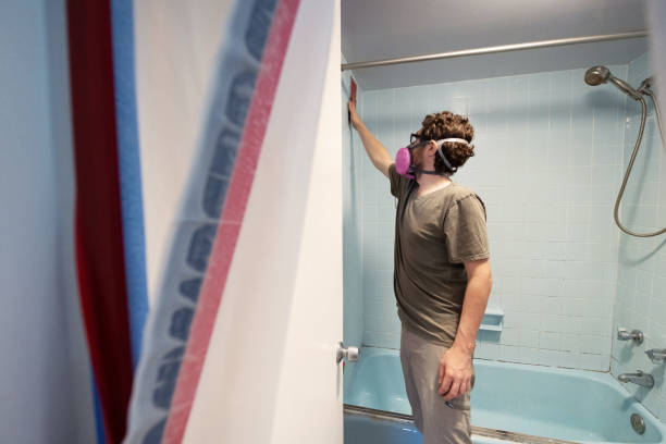 Best Environmental Consulting for Mold Prevention  in Demarest, NJ