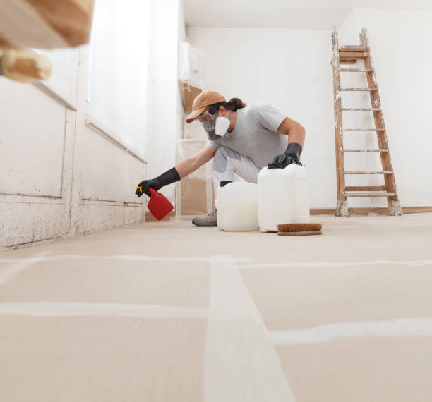 Best Indoor Air Quality Assessment  in Demarest, NJ